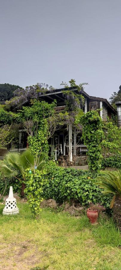 Mare Maravella Costa Brava Nature Tordera Exterior photo