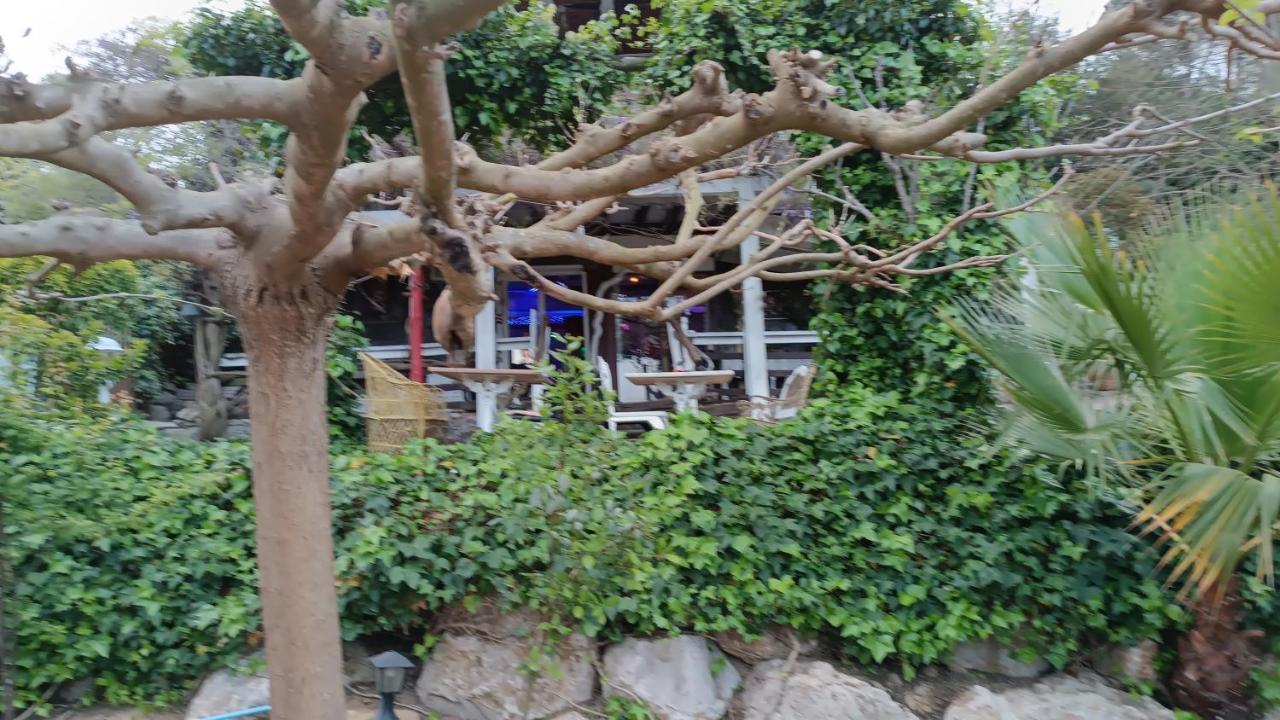 Mare Maravella Costa Brava Nature Tordera Exterior photo